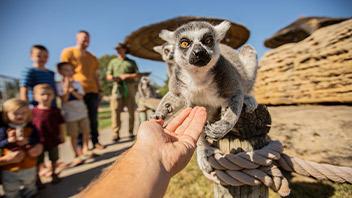 Take A Walk On Our Wild Side.