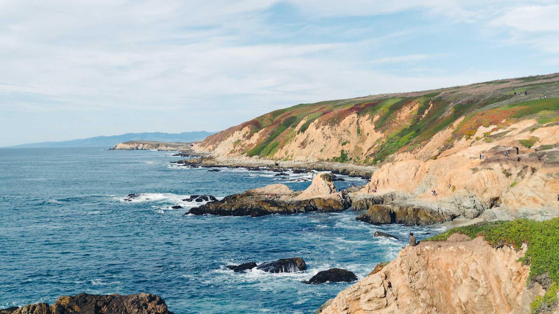 Meet in Bodega Bay, CA