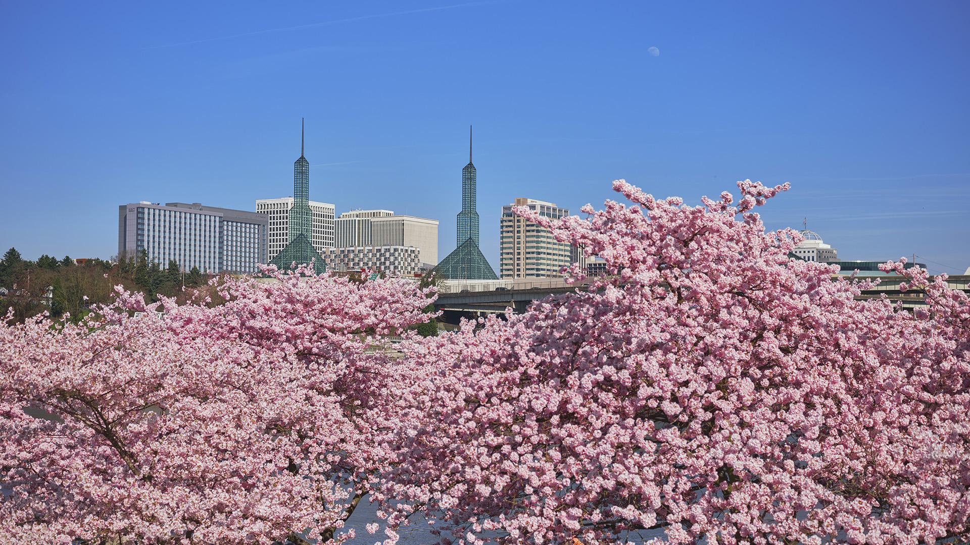 Enjoy no sales tax alongside cosmopolitan amenities and Pacific Northwest scenery.