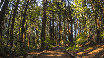 Unexpected Attractions