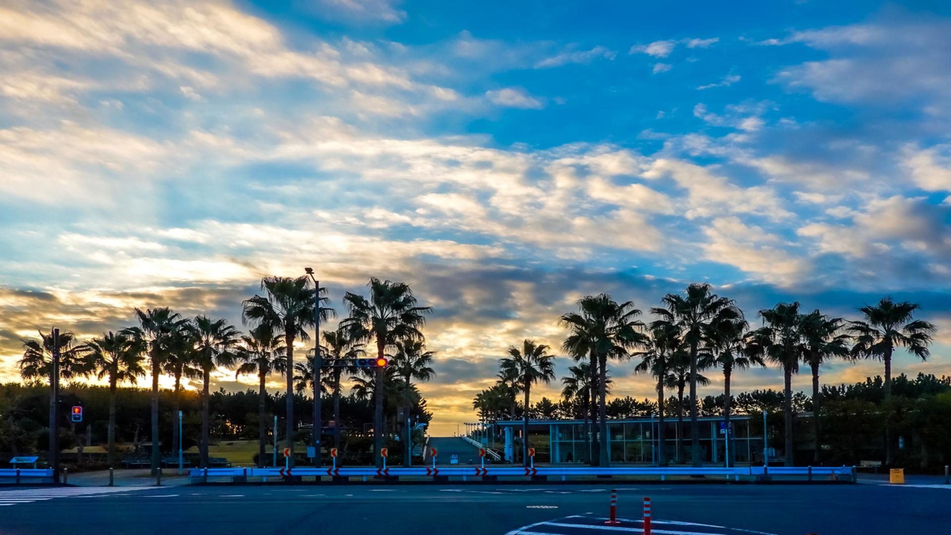 Urayasu Meeting Planning Overview