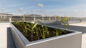 Sustainable Innovation