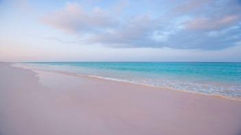 Pink Sandy Beaches