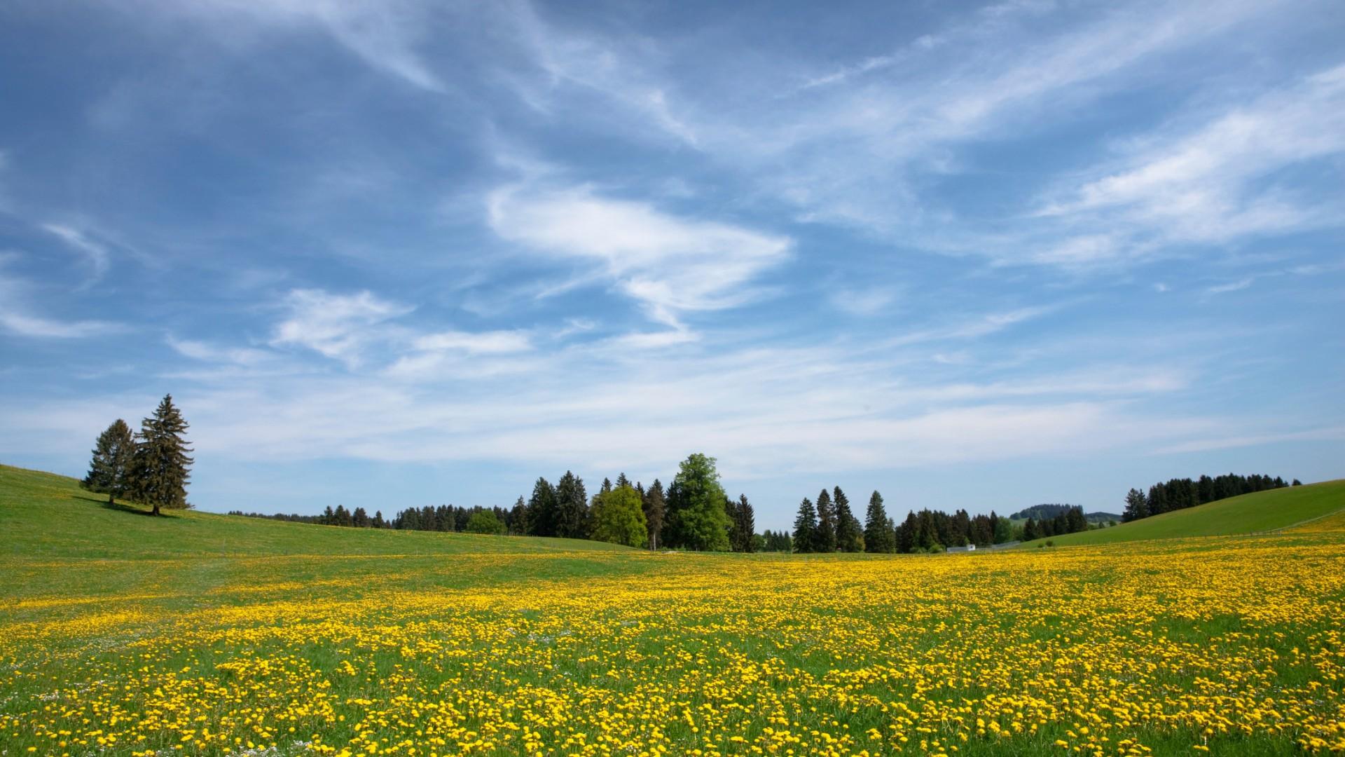 The best apple-producing regions in the world, one of the top wine regions in the nation.