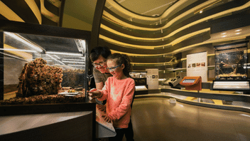 Royal Alberta Museum