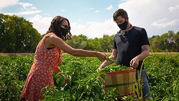 Attractions to Change Your Perspective 