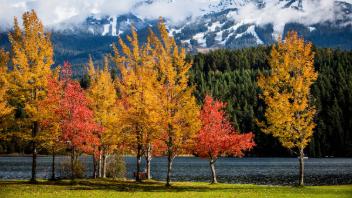 Fall in Whistler
