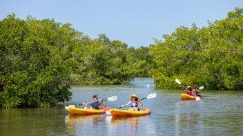 Adventure & Diversions