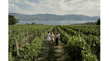 World renowned wineries