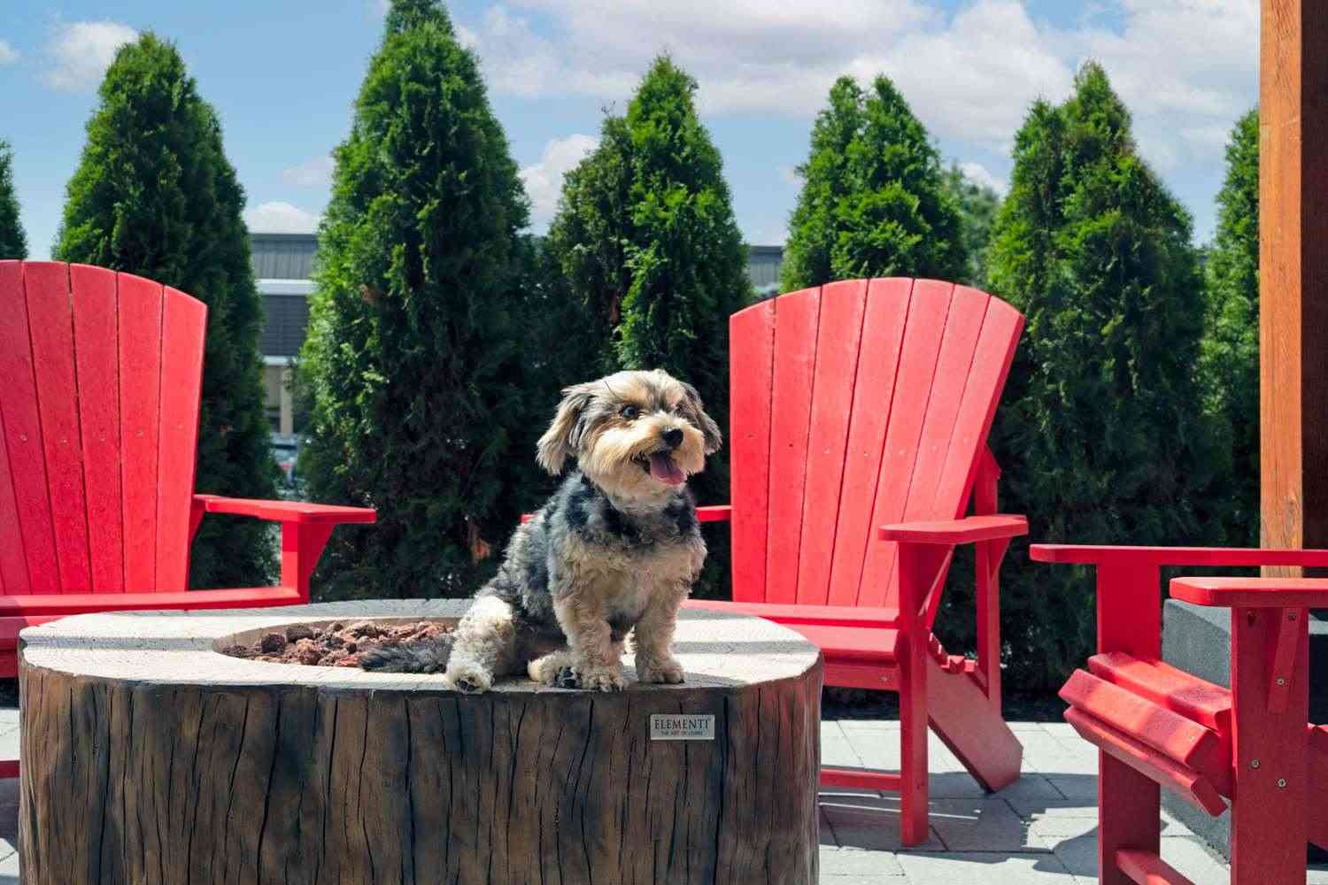 Home2 Suites by Hilton Huntsville em Huntsville, ON