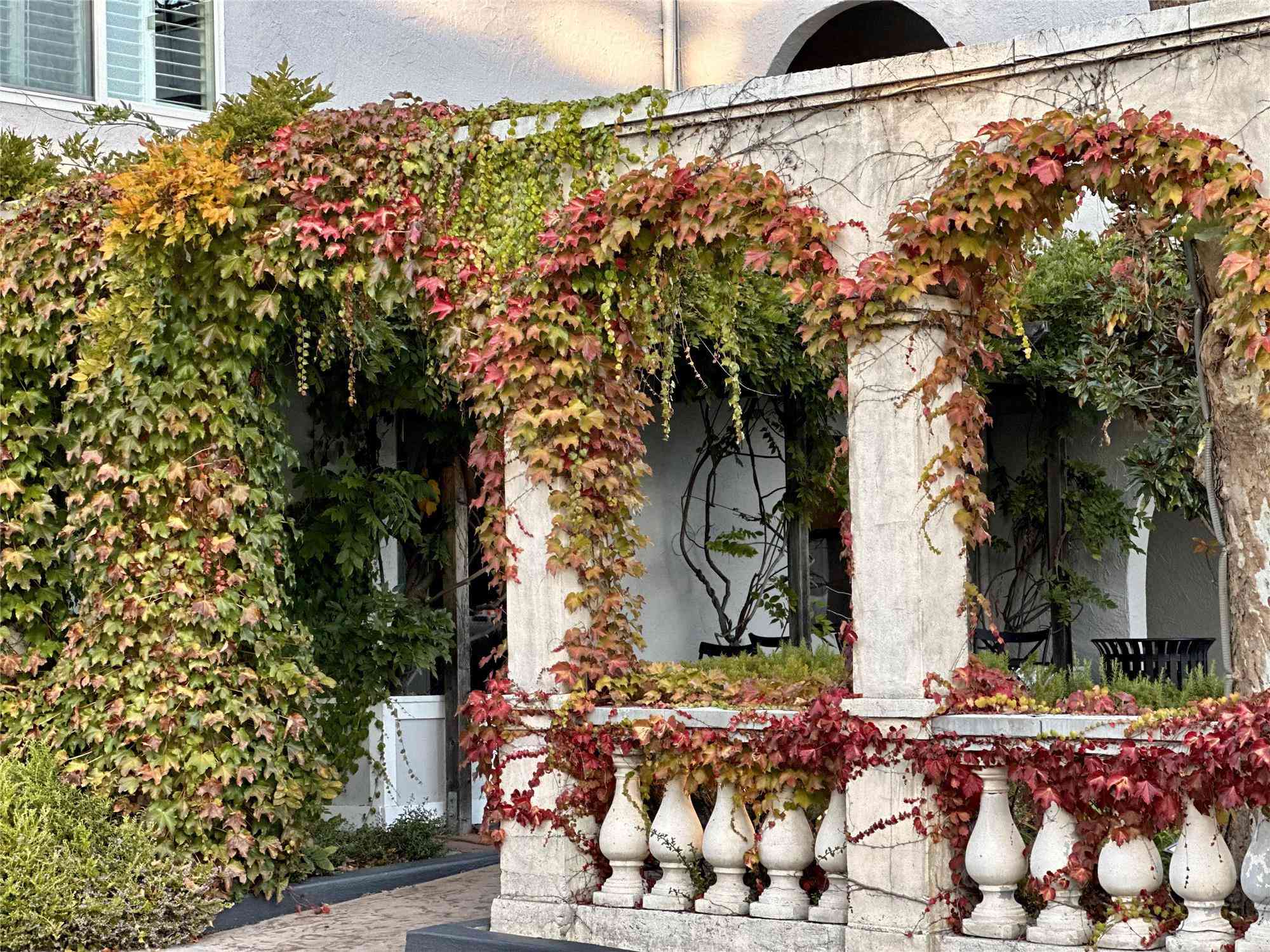 Healdsburg, CAにおけるDry Creek Inn MOD Collection by Sonesta 