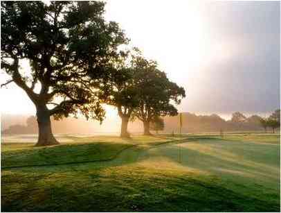 Park House a Midhurst, GB1