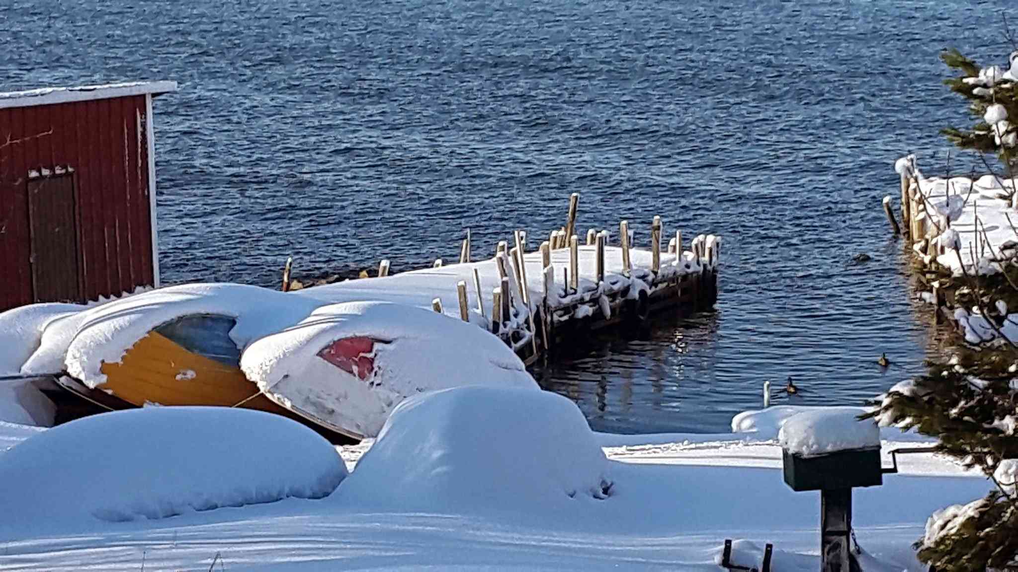 Ankargarden in Oergrond, SE