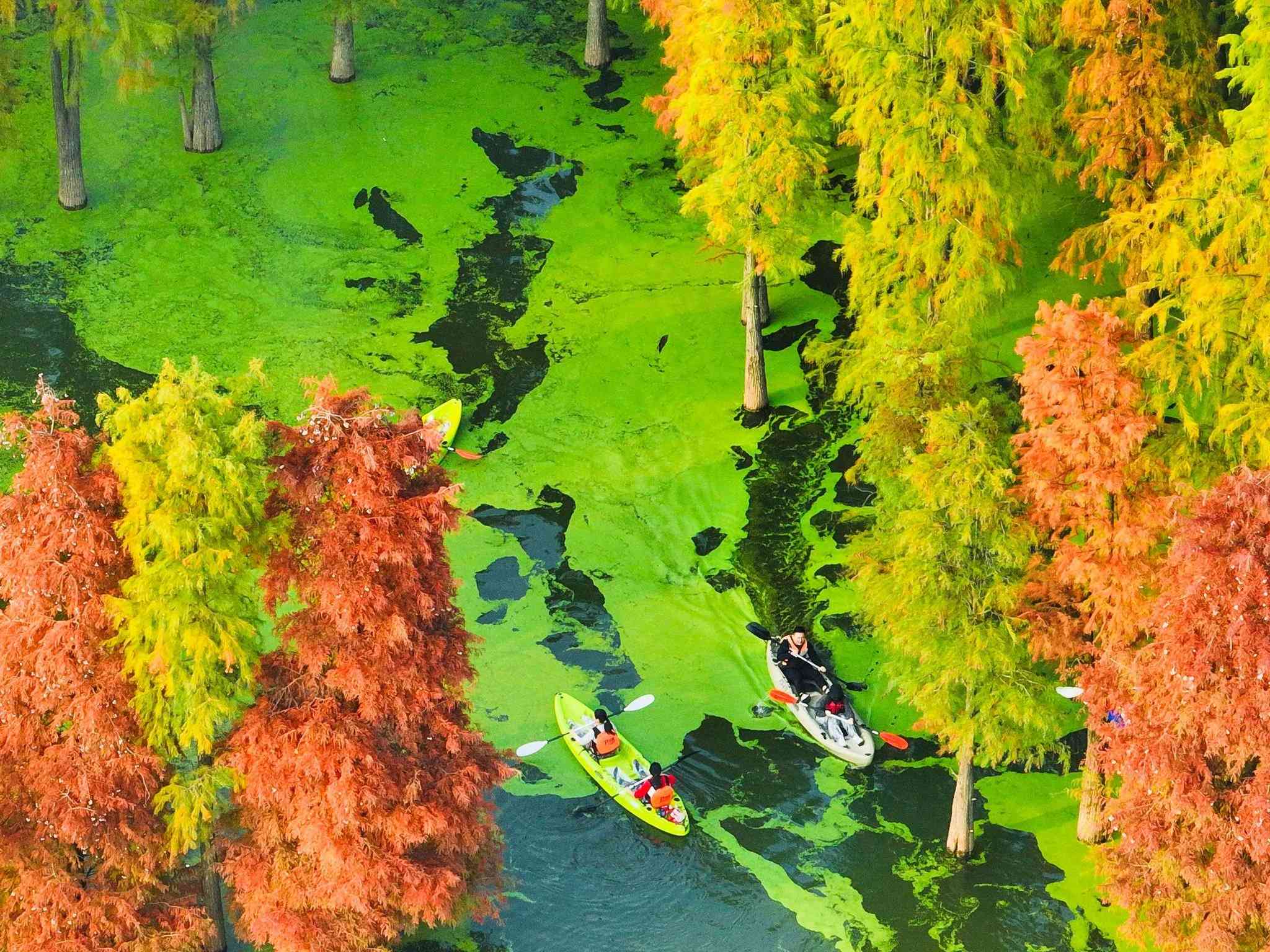 杭州, CN 的 Grand Mercure Hangzhou Qingshan Lake (Opening Oct. 2024)