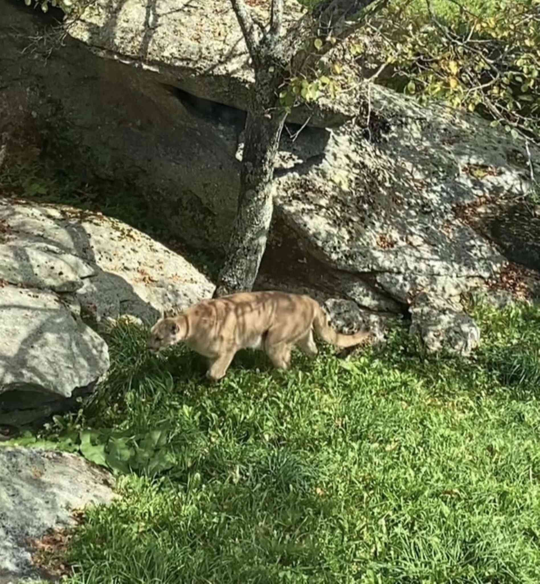 Holiday Inn Express Boone in Boone, NC