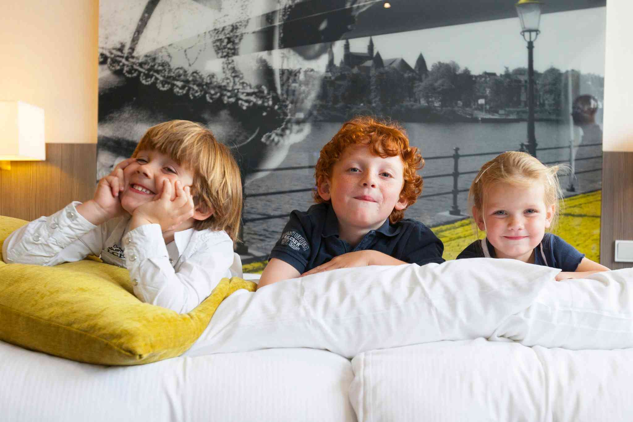 Maastricht, NL 的 Van der Valk Hotel Maastricht