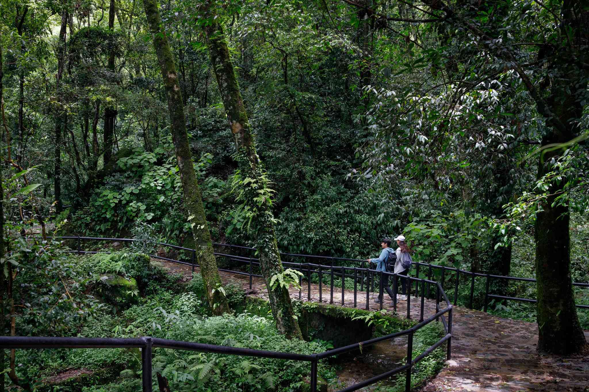 Holiday Inn Resort Kathmandu Budhanilkantha a Kathmandu, NP