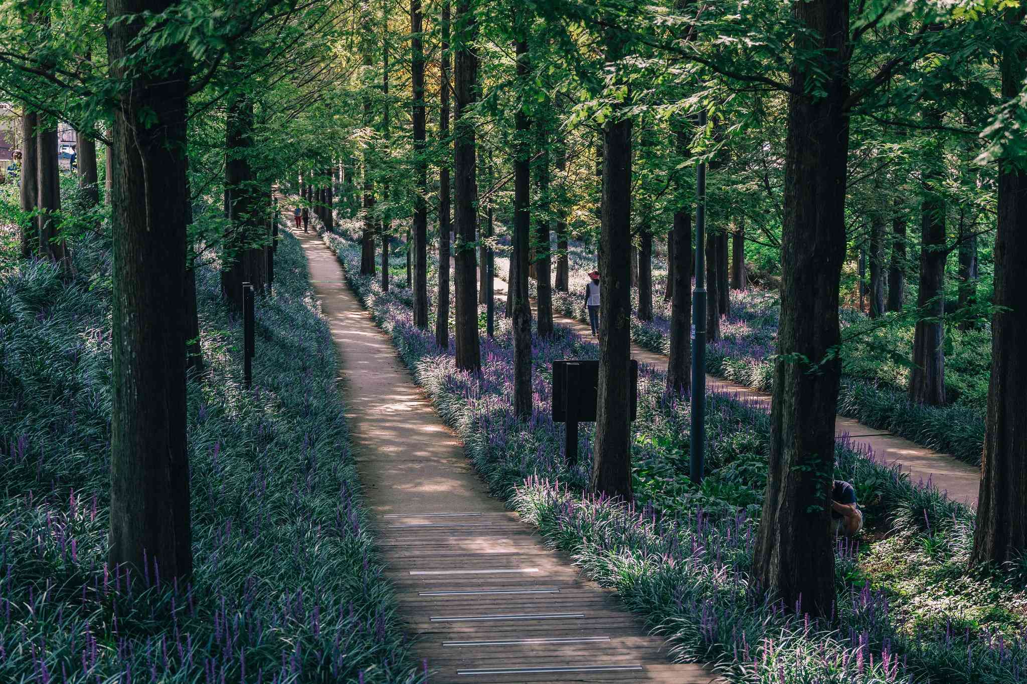 光州, KR 的 Holiday Inn Gwangju