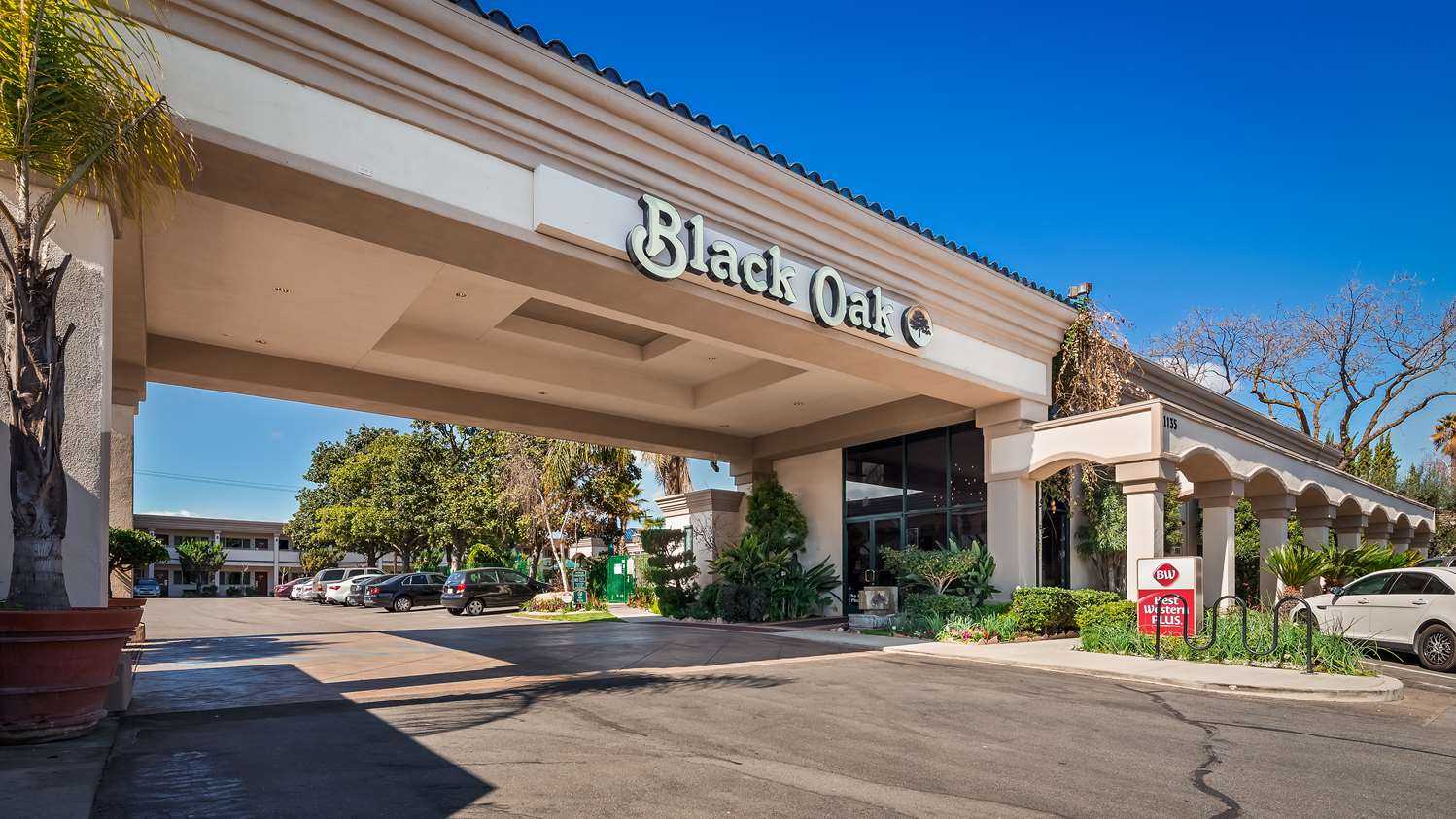 Best Western Plus Black Oak in El Paso de Robles, CA