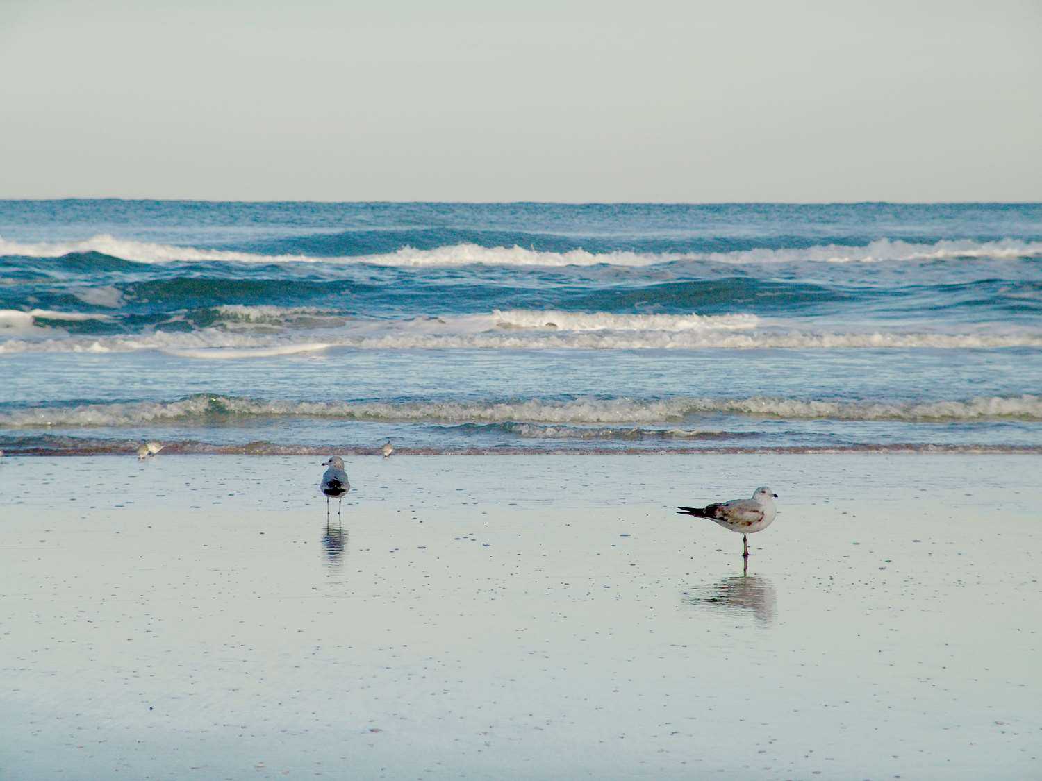 Hampton Inn Daytona Shores-Oceanfront in Daytona Beach Shores, FL