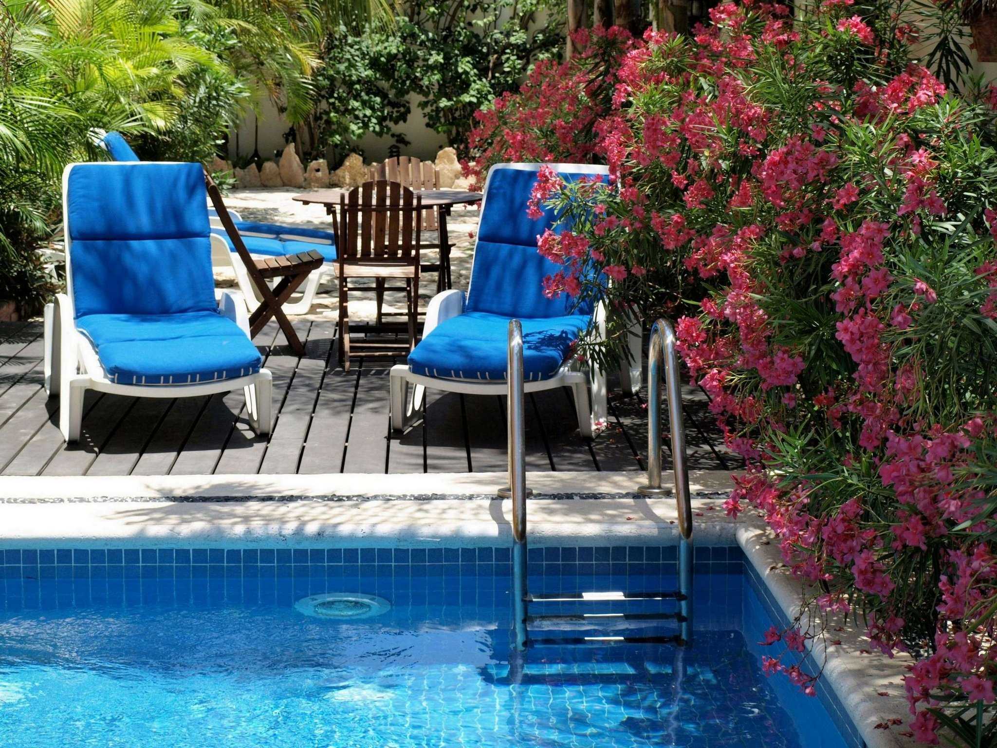 Hotel Las Golondrinas in Playa del Carmen, MX