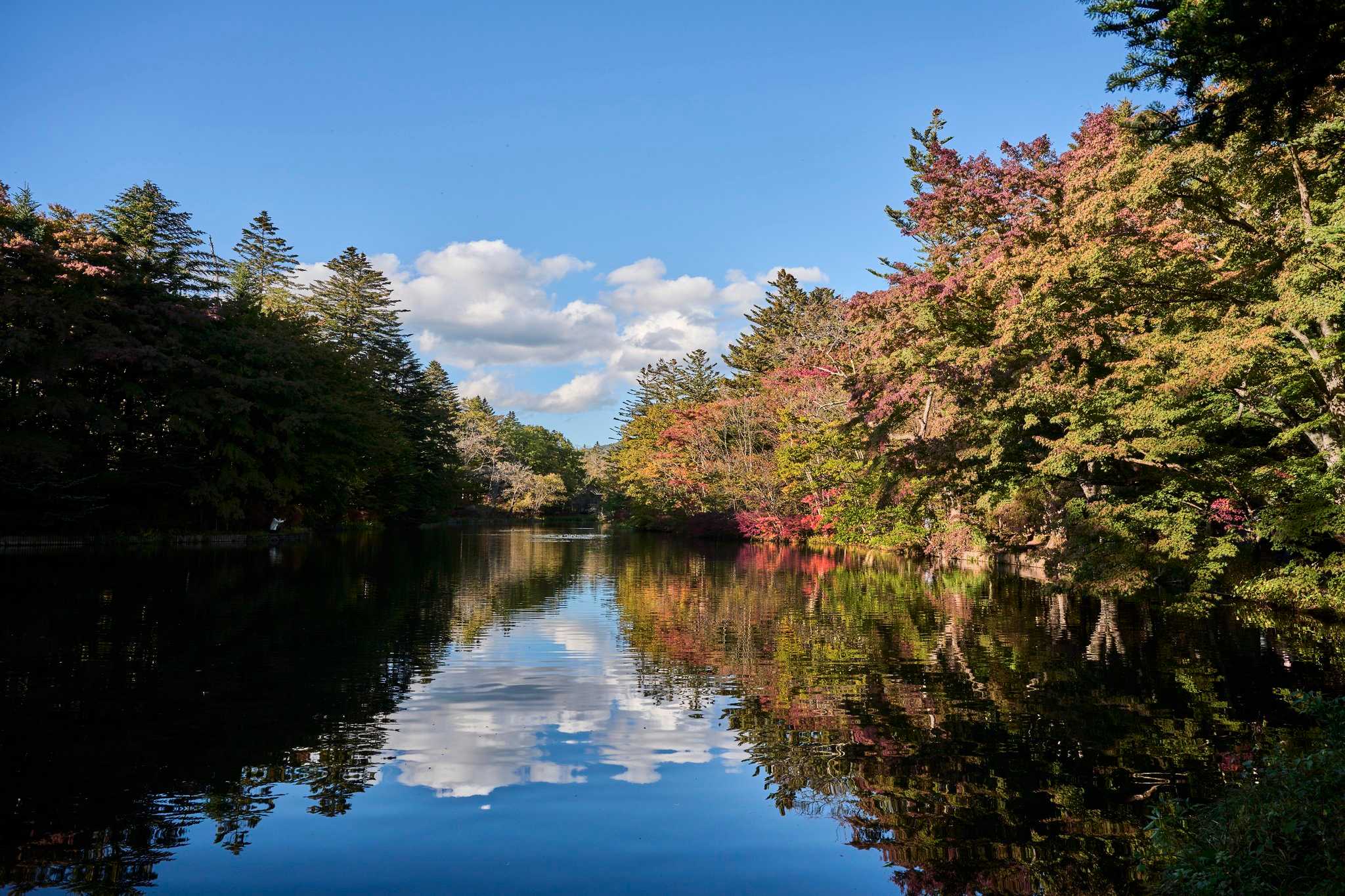 長野, JP 的 Hotel Indigo Karuizawa