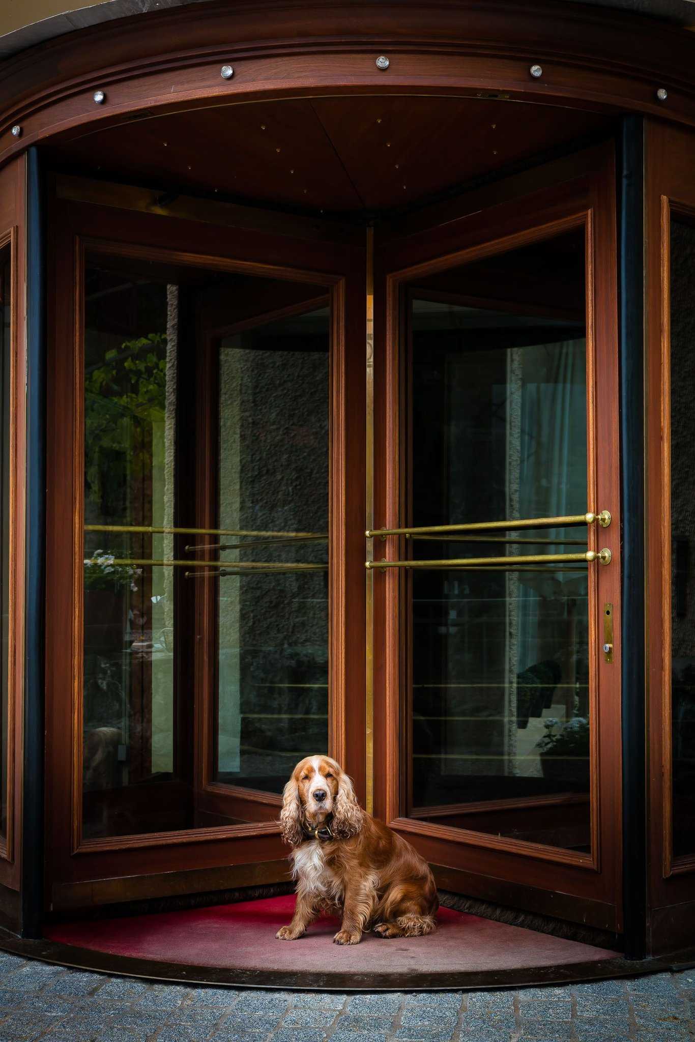 Hotel Regina en Wengen, CH