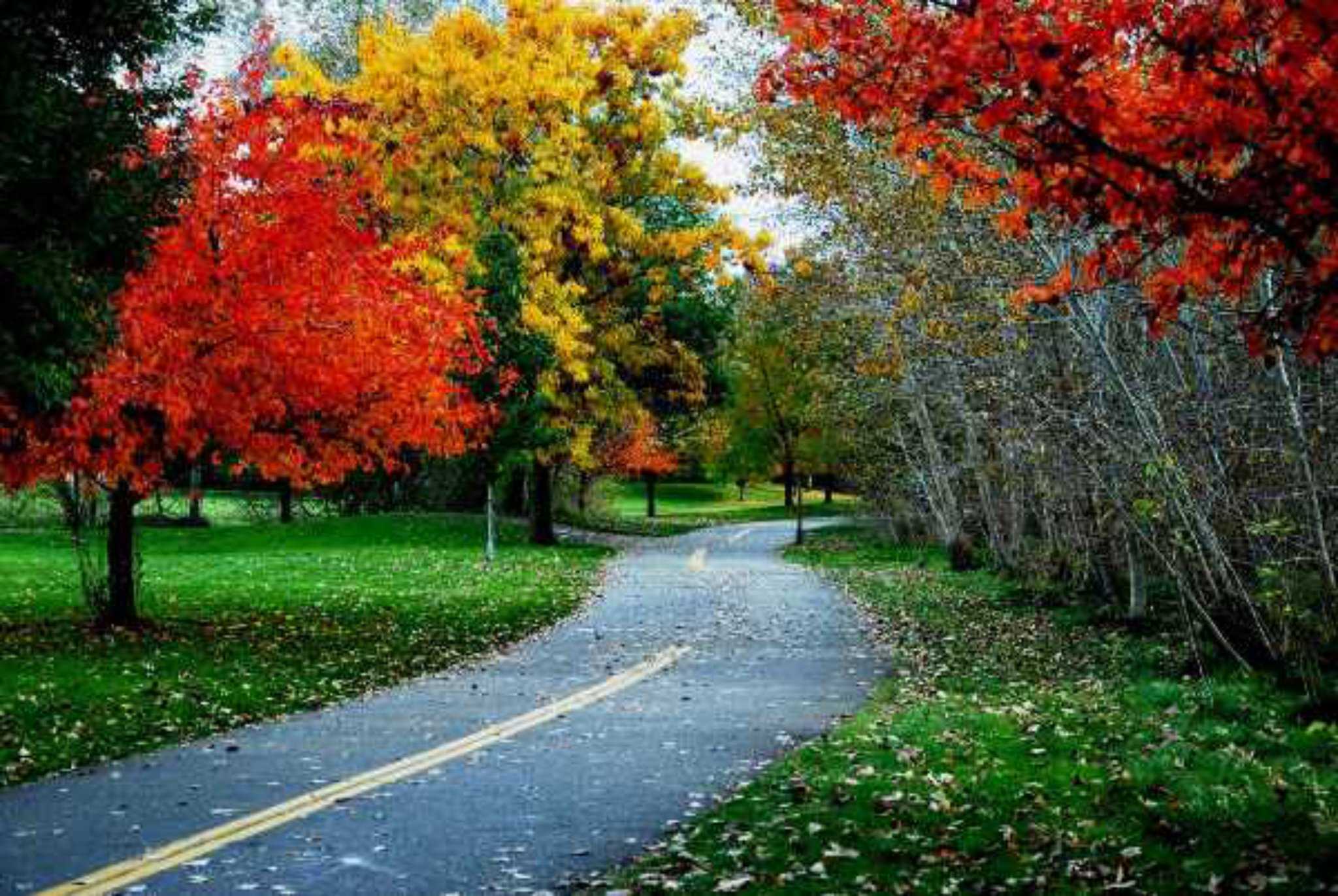 Holiday Inn Express Boise-University Area à Boise, ID