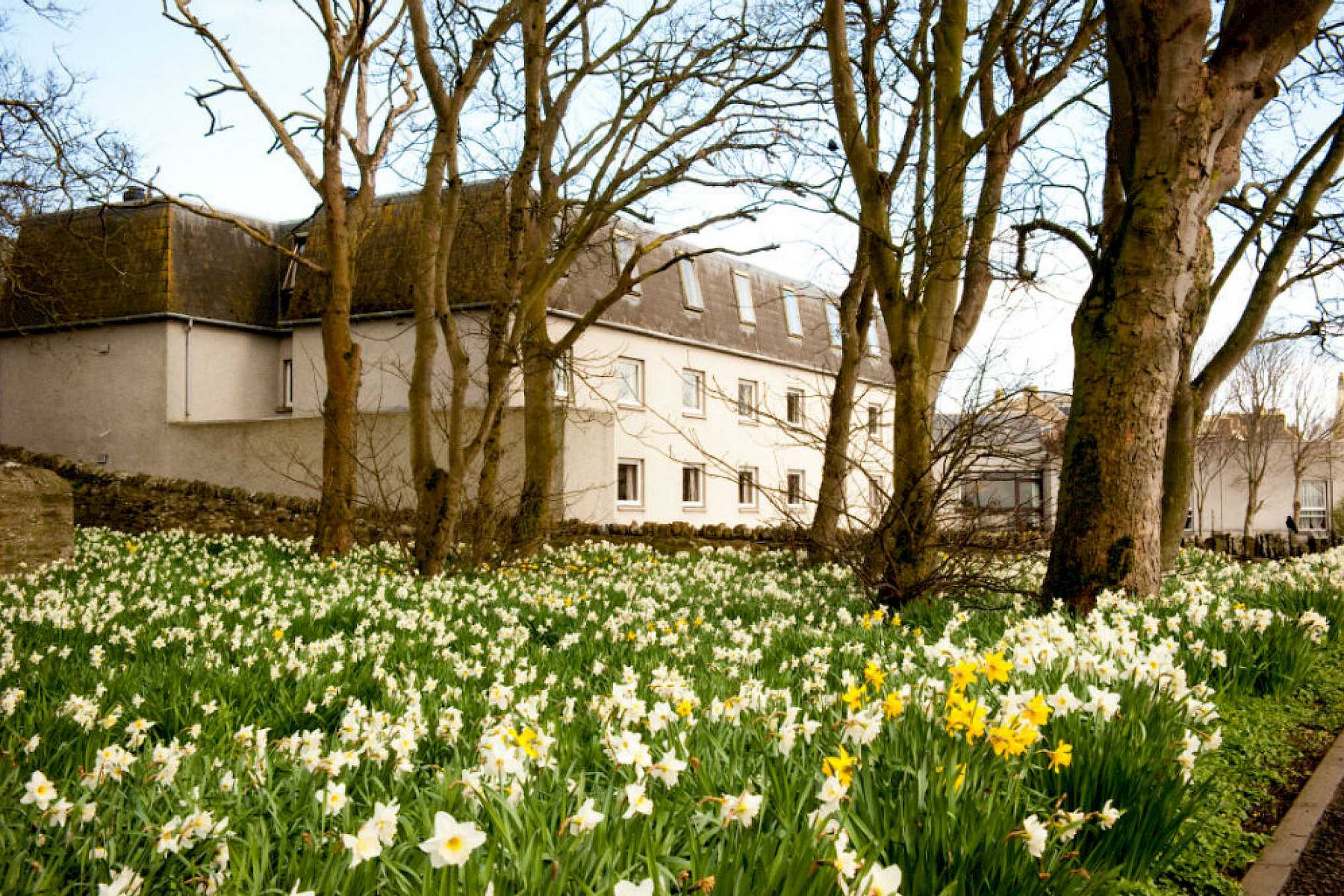 Norseman Hotel em Wick, GB2