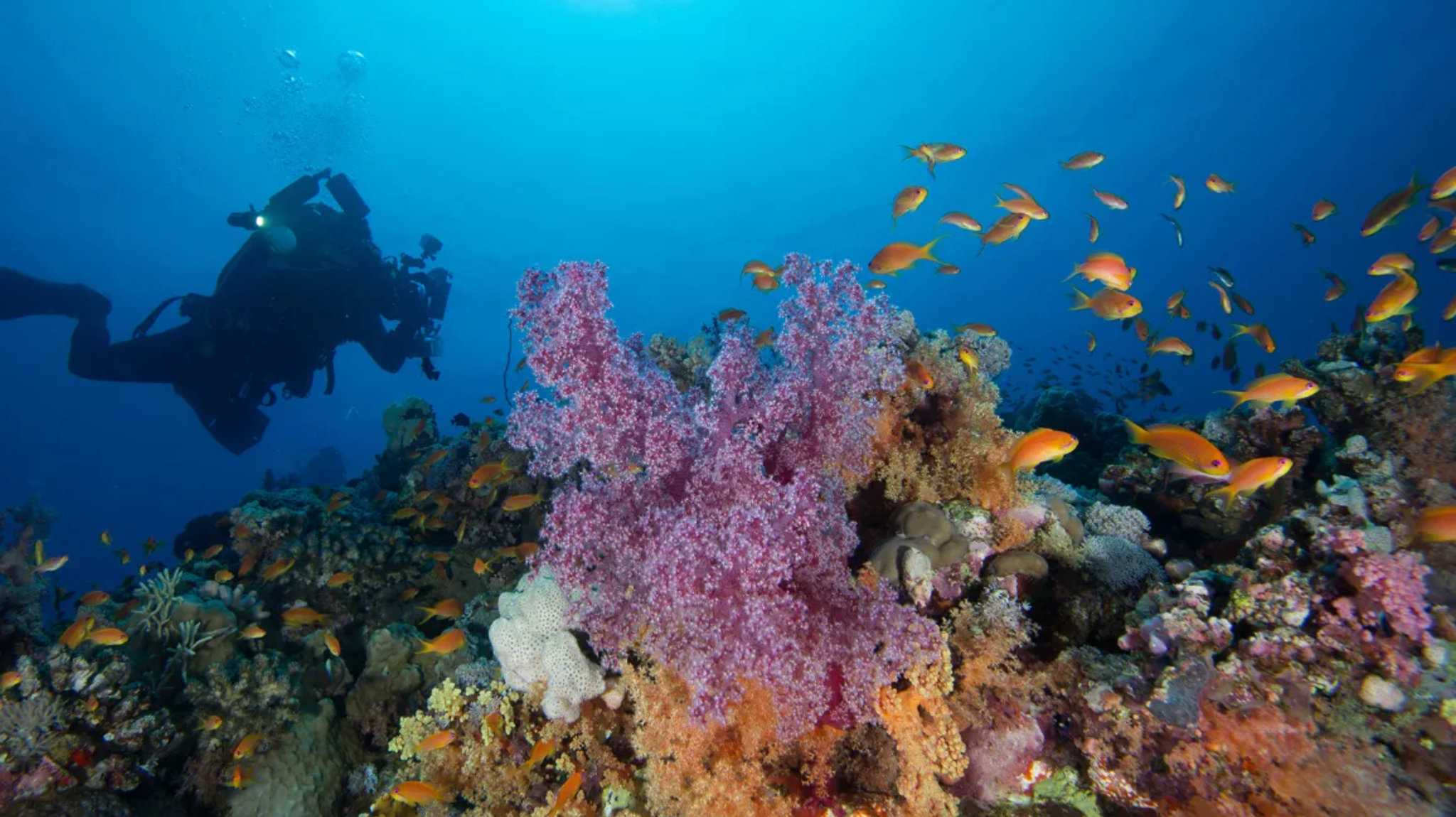 Holiday Inn Yanbu em Yanbu, SA