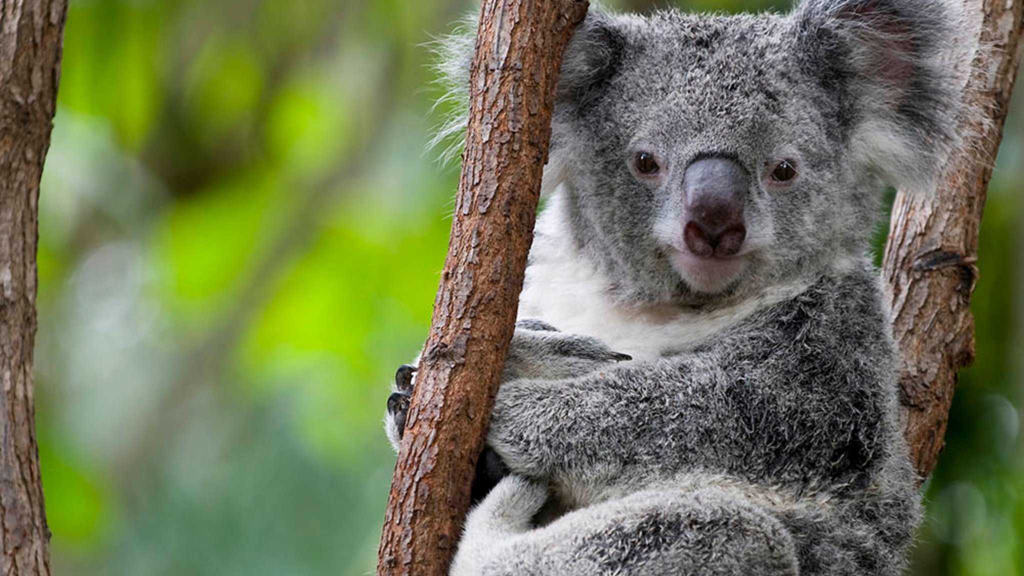 Holiday Inn Sydney St Marys à Sydney, AU