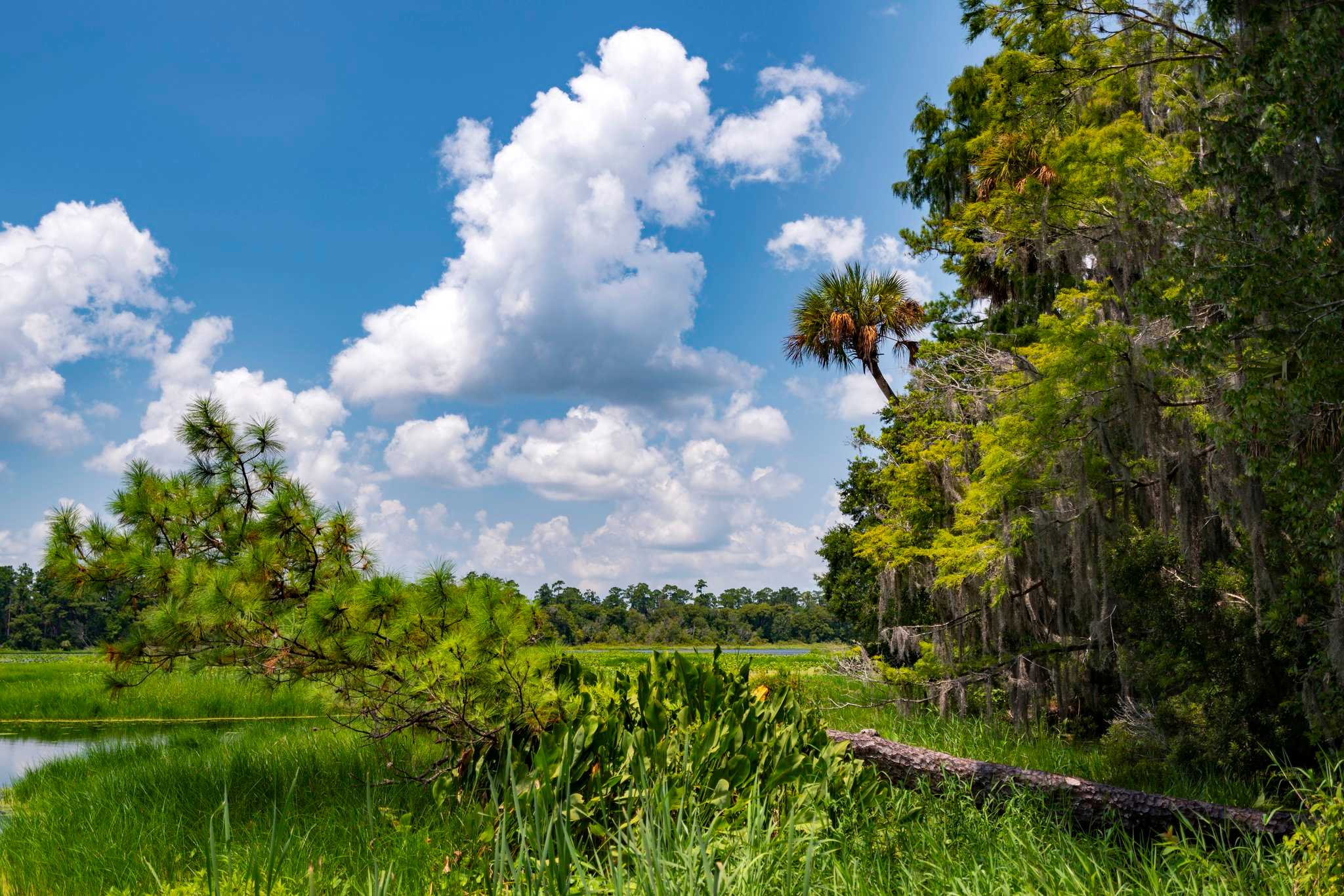 Holiday Inn Express Hotel & Suites Silver Springs-Ocala, Hopeajouset, FL