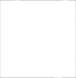 Bethesdan C 下载 PDF