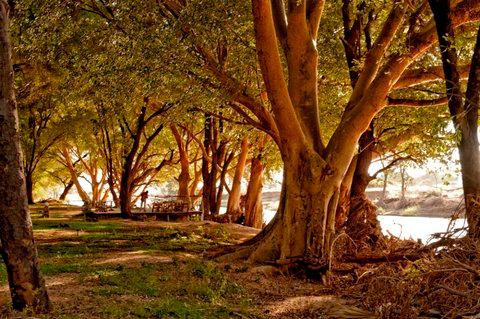 Nairobi, KE 的 Larsens Camp, Kenya