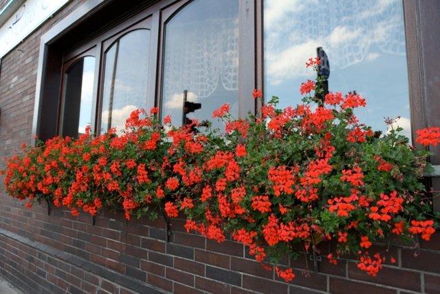 Akzent Hotel Oberhausen image