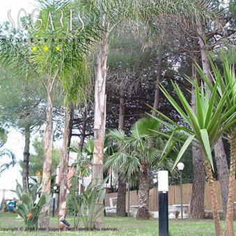 Hotel Sogaris a Capaccio-Paestum, IT
