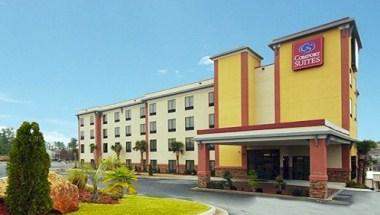 Comfort Suites Stockbridge Atlanta South in Stockbridge, GA