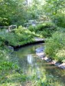 Creek Ridge County Park in Michigan, IN