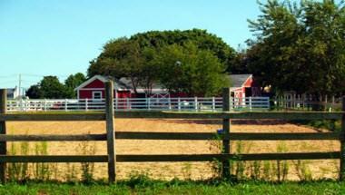 Baiting Hollow Farm Vineyard in Baiting Hollow, NY