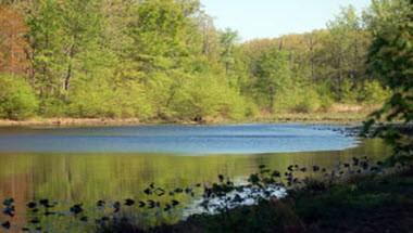 Cedarville State Forest in Annapolis, MD