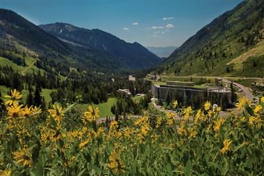 Snowbird in Snowbird, UT