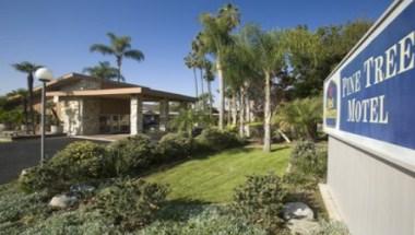 Best Western Pine Tree Motel in Chino, CA