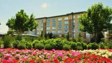 Hilton Garden Inn Denver South Park Meadows Area in Englewood, CO