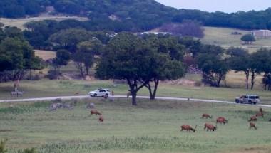 Glen Rose Convention & Visitors Bureau in Glen Rose, TX