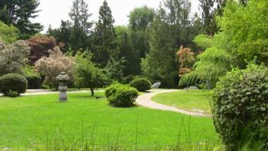 Hammond Museum & Japanese Stroll Garden in North Salem, NY