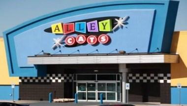 Alley Cats in Arlington, TX