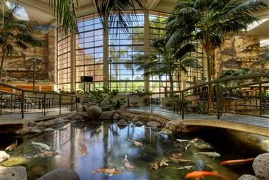 Embassy Suites by Hilton Phoenix Biltmore in Phoenix, AZ