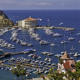 Love Catalina Island Tourism Authority in Avalon, CA