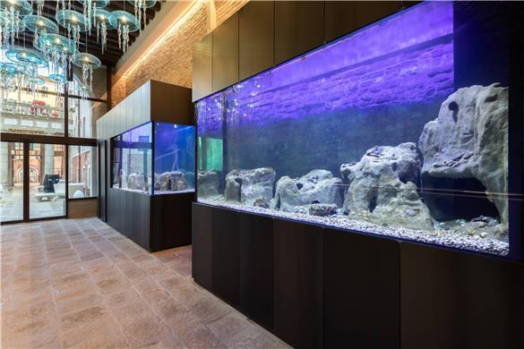 Hotel Aquarius Venice, Ascend Hotel Collection en Venecia, IT