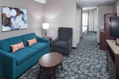 Novi, MI 的 Hilton Garden Inn Detroit/Novi